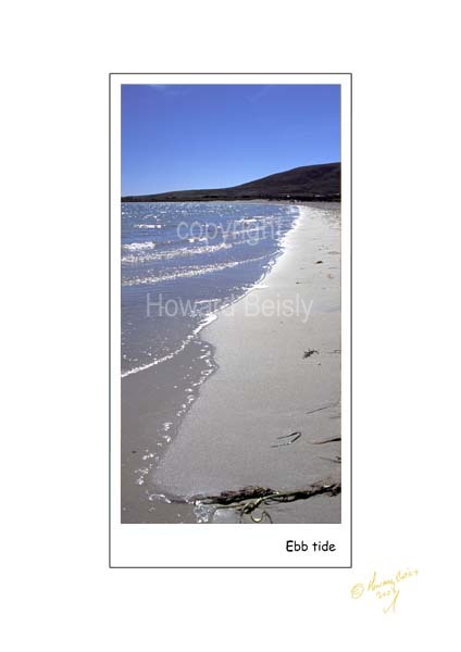 Ebb Tide